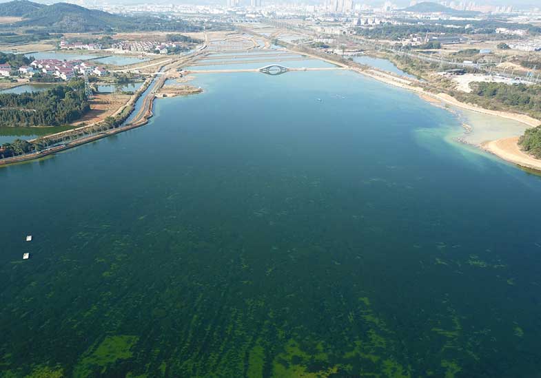 江西省新余市龙须沟水环境提升项目